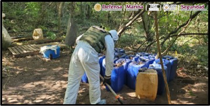 Gabinete de Seguridad del Gobierno de México informa acciones relevantes del domingo 17 de noviembre de 2024