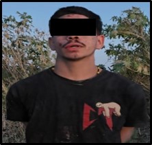 Ejército Mexicano detiene a 14 personas con armamento de alto poder en Sinaloa