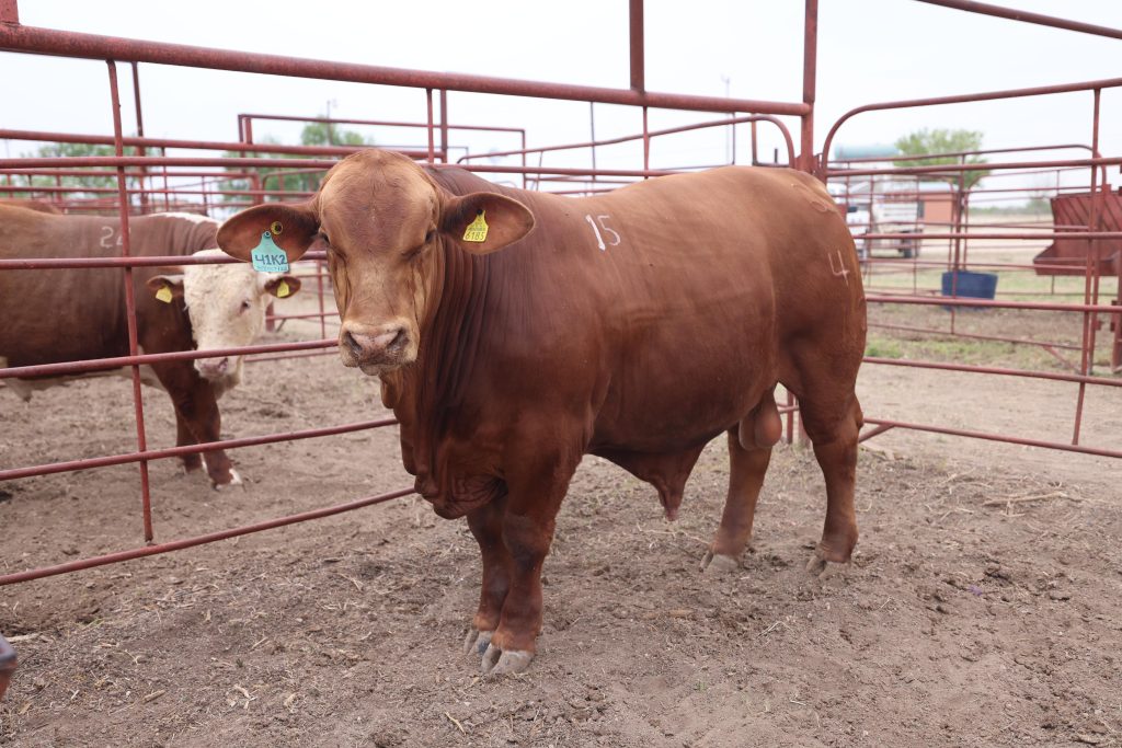 Reacciona Coahuila ante contingencia zoosanitaria en el sur del país