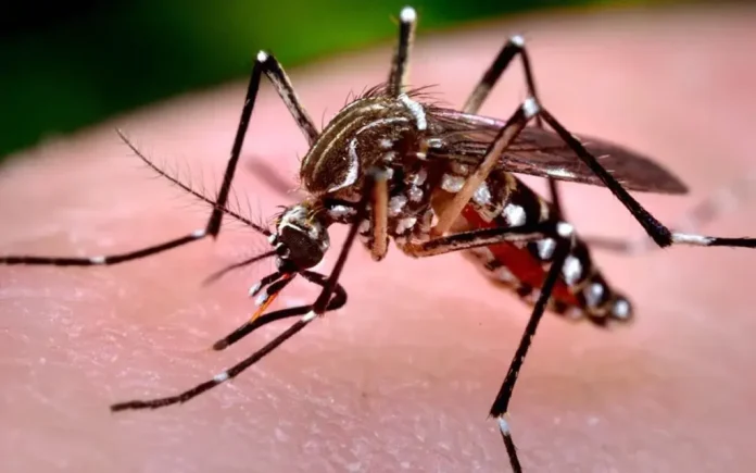Pruebas confirmarían deceso de menor por dengue en Monclova