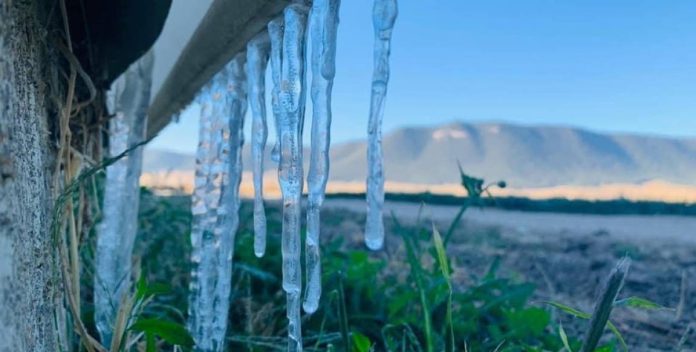arteaga frio