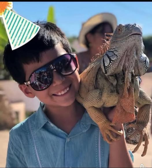 Menor en Monclova lucha contra dengue hemorrágico; solicitan donación de plaquetas y sangre