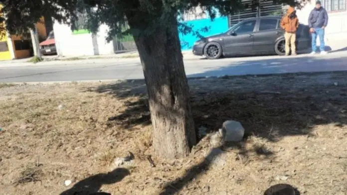 Motociclista pierde la vida al derrapar y chocar contra un árbol en Apodaca