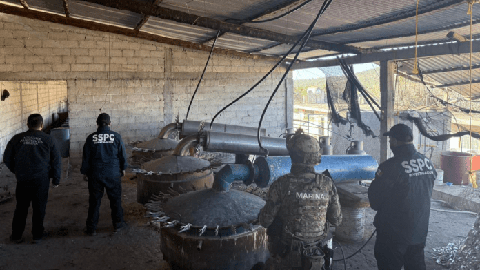 Resultado de trabajos de coordinación, en tres acciones fueron detenidas 14 personas, se aseguraron armas, drogas y dos laboratorios