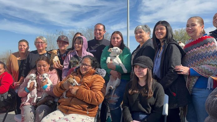 Inicia en Acuña jornada itinerante de esterilización para animales de compañía