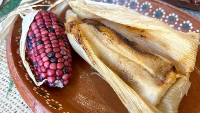 Tamales y tradiciones llegan al Museo Nacional de Culturas Populares y Los Pinos