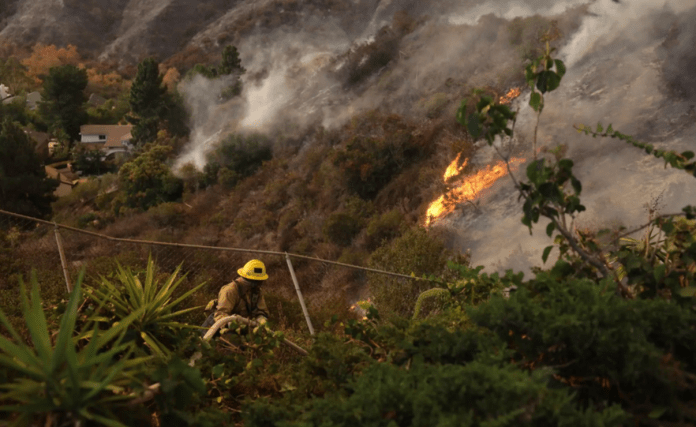 Trump critica a políticos locales por manejo de incendios en Los Ángeles