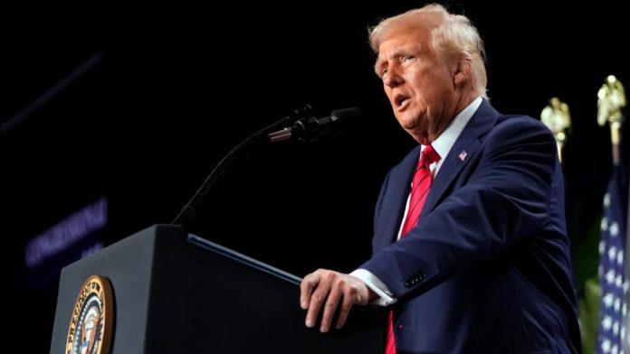 Donald Trump anuncia reunión con Zelenski la próxima semana y una posible conversación con Putin
