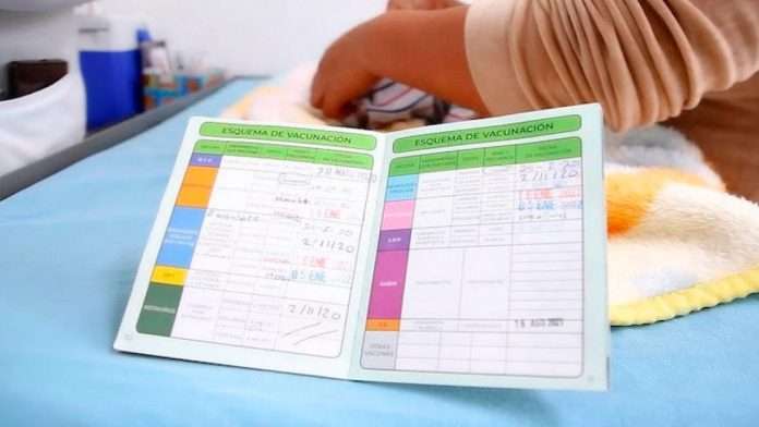 Calendario de vacunación en México Conoce cuándo aplicarlas