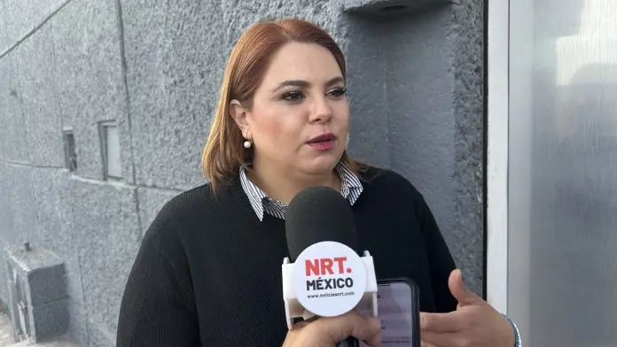 La dirigencia estatal del Partido Acción Nacional (PAN) sigue en espera de la convocatoria para la renovación de su dirigencia, según informó Elisa Maldonado Luna