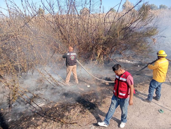 Los incendios son provocados por desconocidos