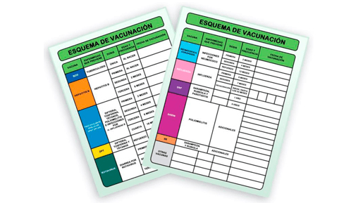 Secretaría de Salud