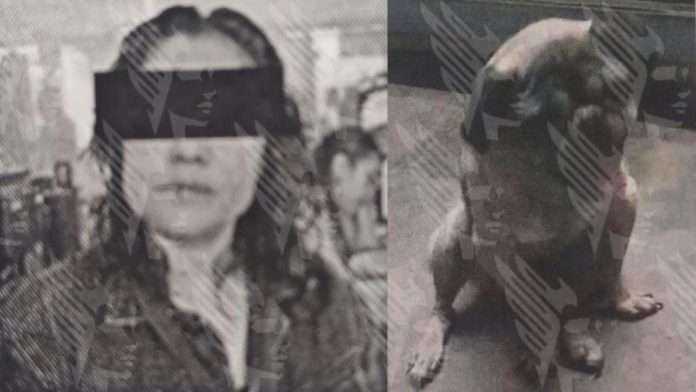 Mujer es vinculada a proceso por maltrato a un perro