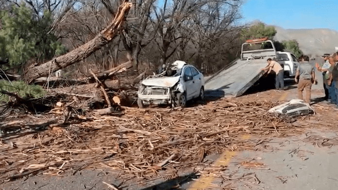 Accidente en carretera federal 30 deja una persona sin vida en Lamadrid
