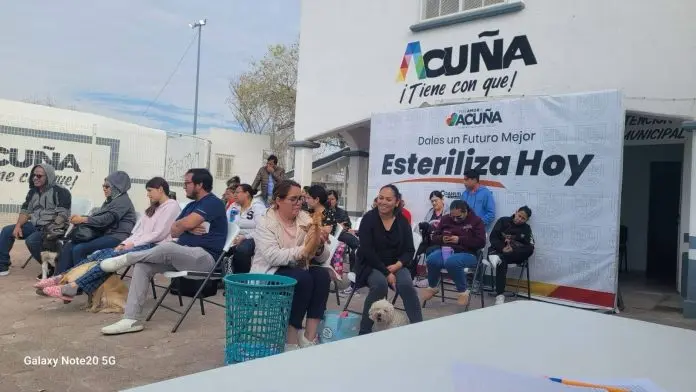 Invitan a esterilización masiva de mascotas