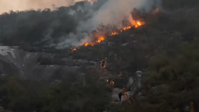 Incendio forestal prende el Cerro del Topo Chico en Monterrey