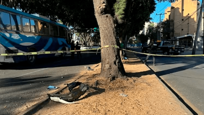Joven pierde la vida atropellado mientras iba a su trabajo