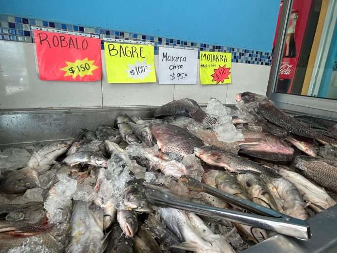 Aumenta hasta 50% la venta de pescados y mariscos por Cuaresma