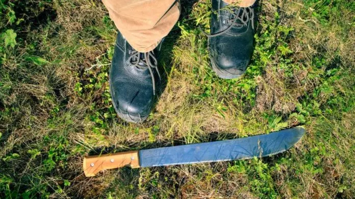 Saltillo hombre pierde dos dedos al intentar cortar leña con machete