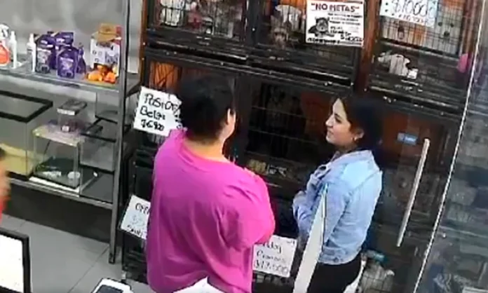 ¡Mujeres ladronas!: Se llevaron cachorros de una veterinaria y los guardaron entre su ropa