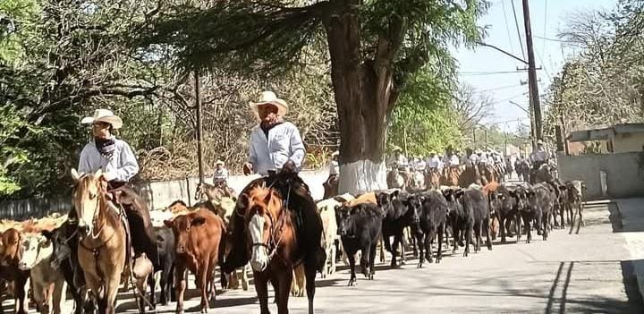 Cientos de espectadores disfrutaron del espectáculo de más de 300 cabezas de ganado guiadas por expertos vaqueros