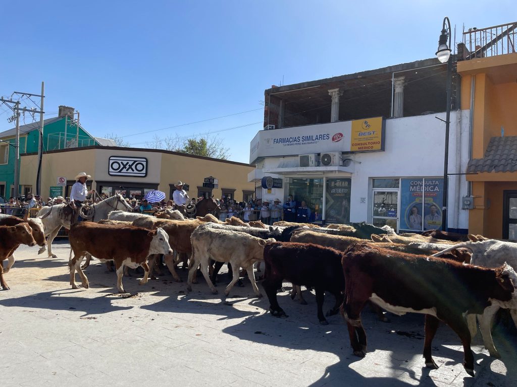 Múzquiz Celebra sus 100 Años con Eventos Ganaderos y un Fuerte Impacto Económico