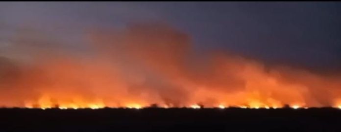 Protección Civil y Bomberos trabajan arduamente para controlar el siniestro