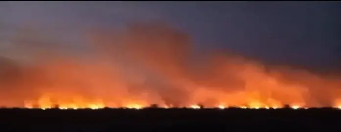 Protección Civil y Bomberos trabajan arduamente para controlar el siniestro