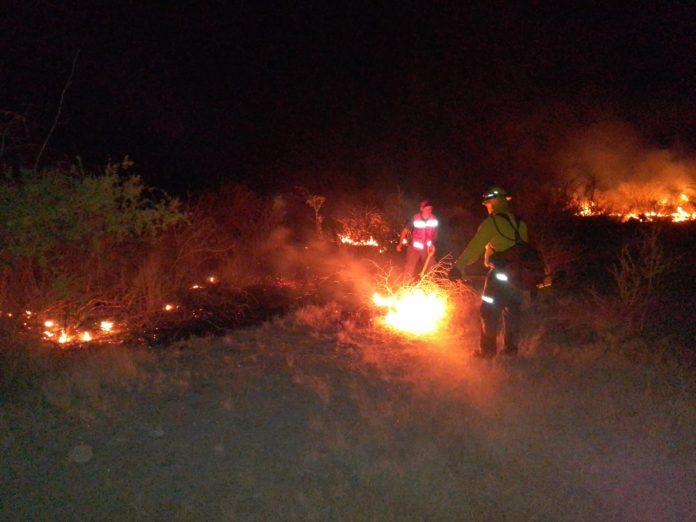 Sospechan que el siniestro, que afectó gravemente el ecosistema, fue provocado intencionalmente.