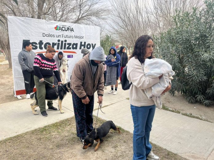 Continúa buena respuesta en programa de esterilización