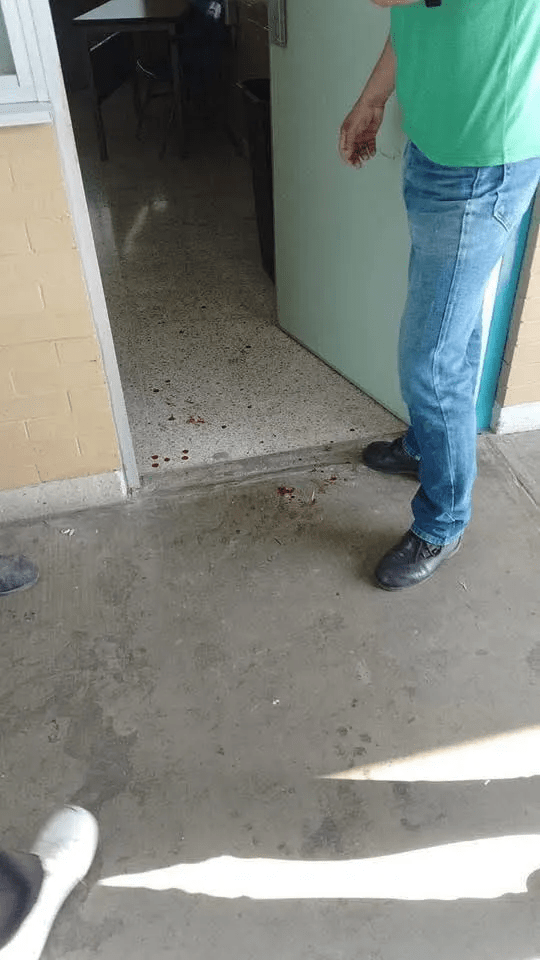 Colegio de Ciencias y Humanidades