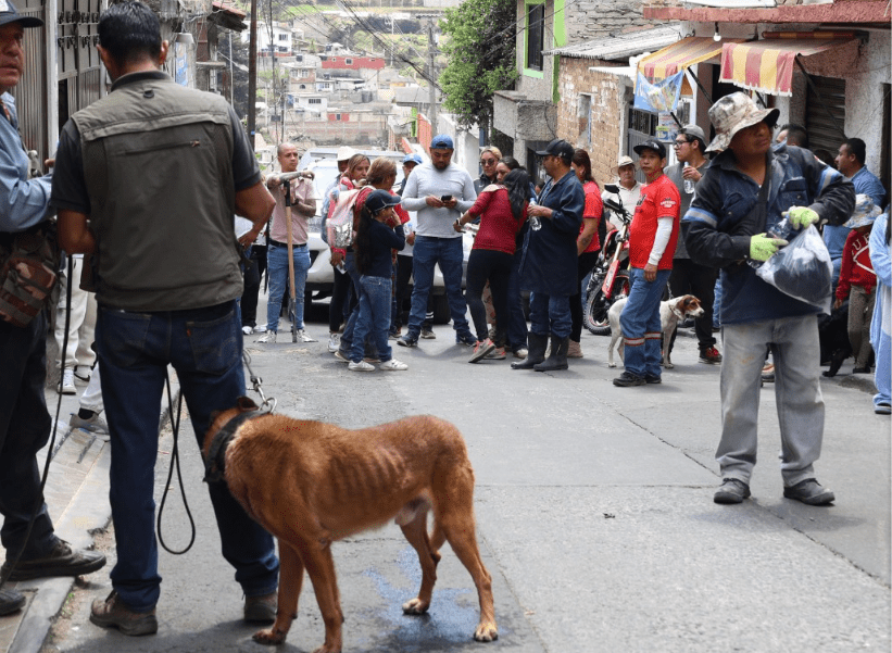 Hallan sin vida a Antonio, niño de 9 años que estaba reportado como desaparecido  
