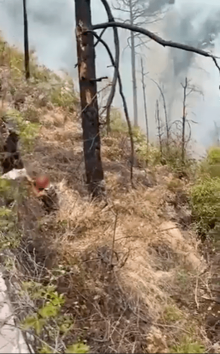 "Se le fueron los frenos": Acusa sobreviviente de accidente en Cola de Caballo