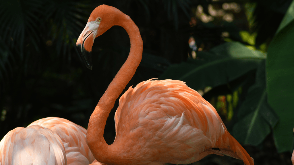 Lanzan Pasaporte de la Conservación para visitar Áreas Naturales Protegidas de México