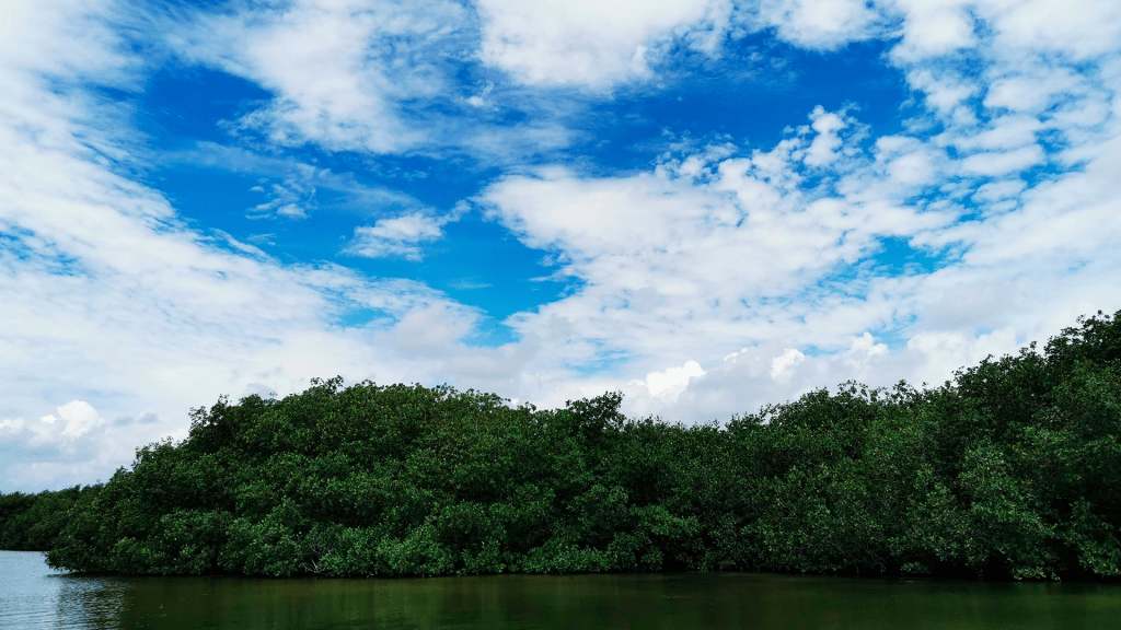 Lanzan Pasaporte de la Conservación para visitar Áreas Naturales Protegidas de México