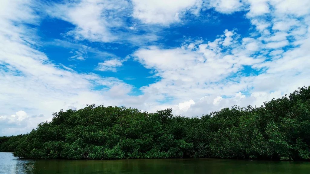 Lanzan Pasaporte de la Conservación para visitar Áreas Naturales Protegidas de México