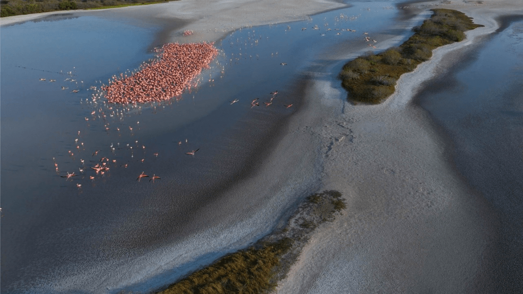 Lanzan Pasaporte de la Conservación para visitar Áreas Naturales Protegidas de México