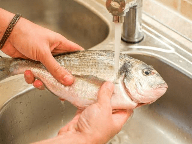 ¿Es recomendable lavar el pescado antes de cocinarlo?: Aquí te decimos