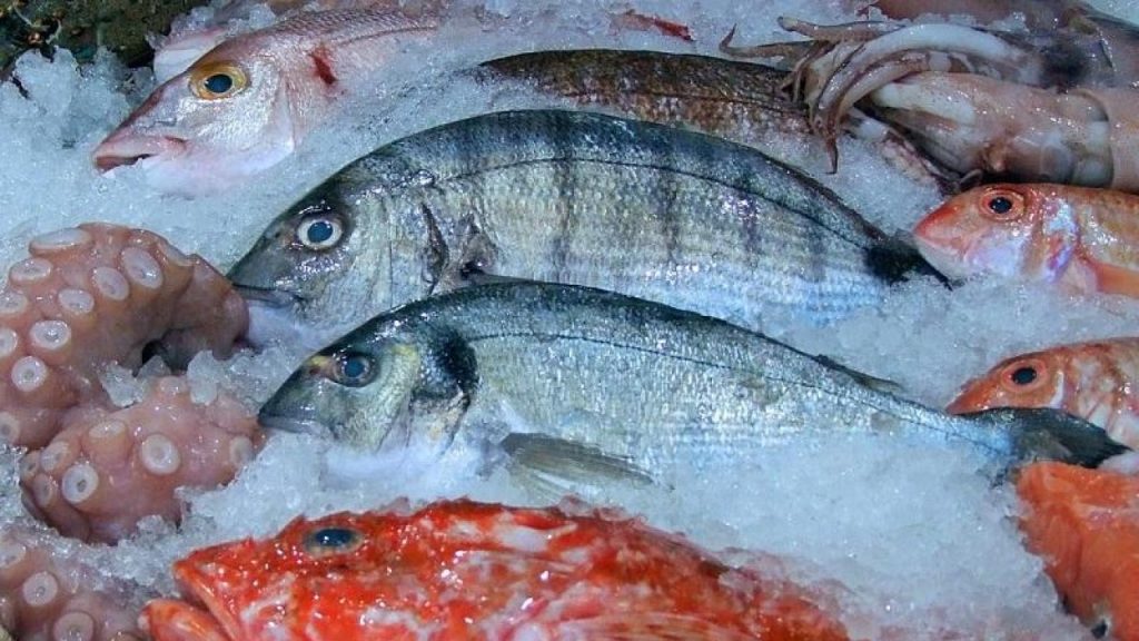 ¿Es recomendable lavar el pescado antes de cocinarlo?: Aquí te decimos