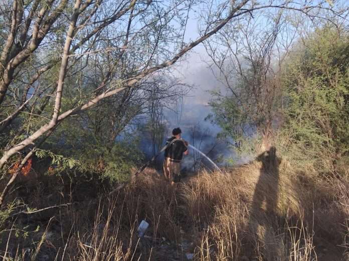 En 40 años no se habían registrado tantos incendios en Sabinas