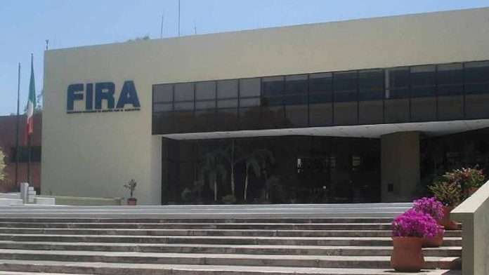 FIRA presenta plataforma digital para apoyar a instituciones financieras y mejorar los agronegocios en zonas rurales