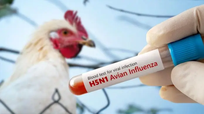 Autoridades de Salud implementan medidas preventivas en Coahuila tras caso de influenza aviar en menor