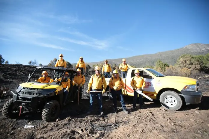 Detienen a causante de incendio forestal en Arteaga