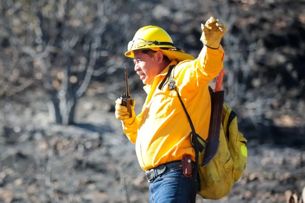 Detienen a causante de incendio forestal en Arteaga
