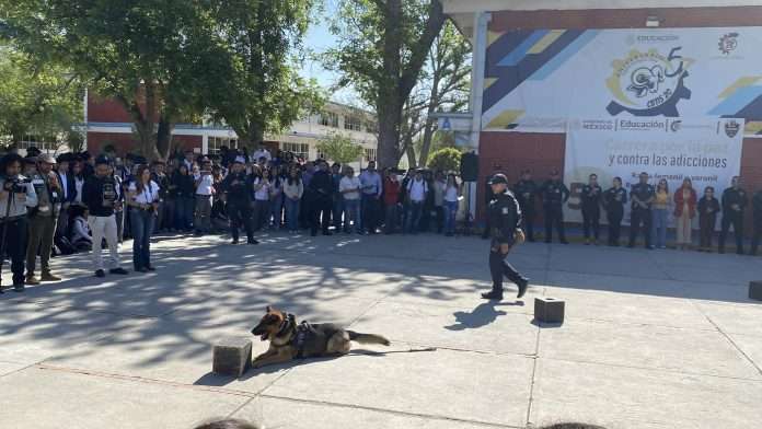Lider elemento canino de la policía del estado en demostración de habilidades