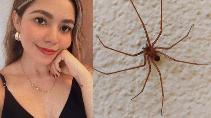 Recuerdan a María Fernanda como una joven muy apegada a su familia, murió tras picadura de araña violinista