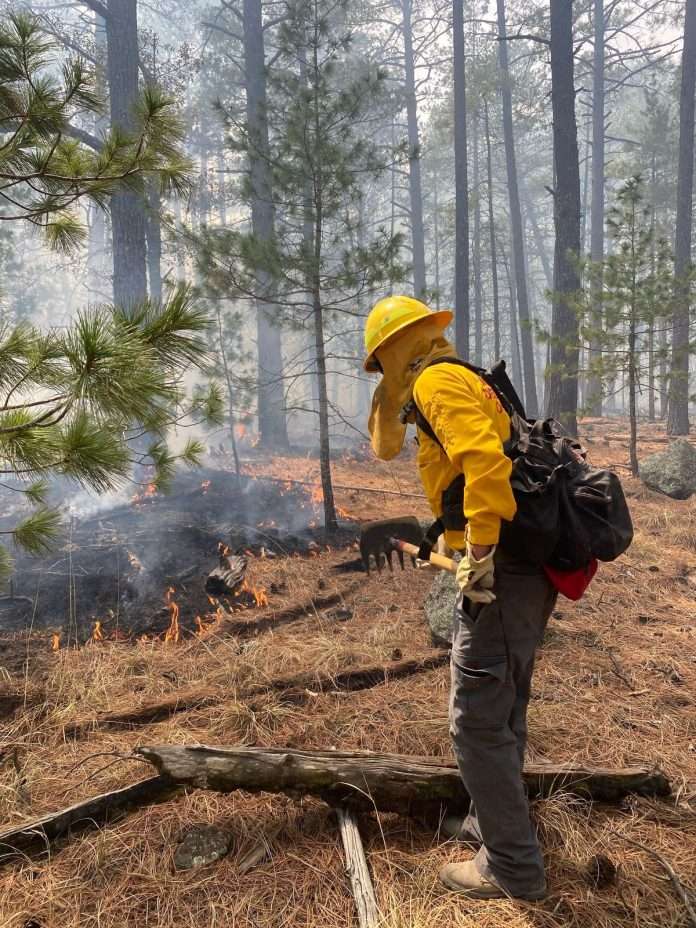 Incendio Forestal en Serranía de Maderas del Carmen