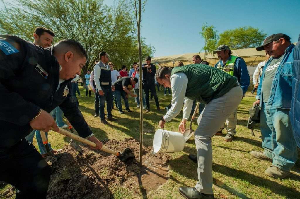 Refuerzan acciones por un "Torreón Más Verde"