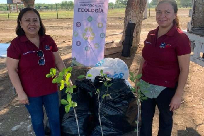 Convoca Ecología a participar en campaña de reforestación