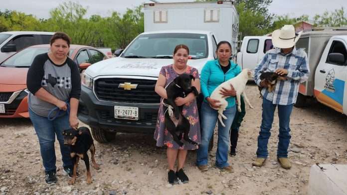 Anuncian campaña permanente de esterilización en Acuña